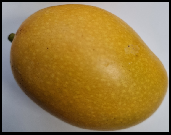 OMG!!! It's been 24hr! Where you been?
@bitclout is blowing up!!!

Easy there... It's early days still!

Even if we grow faster than twitter/fb/bitcoin, you still have years to go.

Eat right, sleep tight.

#7 #creators #mentalhealth @mindclout
