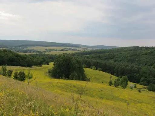 "Life is not all beer and skittles".- Proverb

Cold Yar. Cherkasy region. Ukraine.
Unique natural landscapes, rare valuable species of plants and animals, historical and cultural monuments of national importance are harmoniously combined here. In this tract with an area of ​​7000 hectares, archaeologists have found traces of all cultures that lived on the territory of Ukraine, including the Trypillian and Scythian. Everyone who rests here in the shade of the millennial oak tree of Maxim Zaliznya...