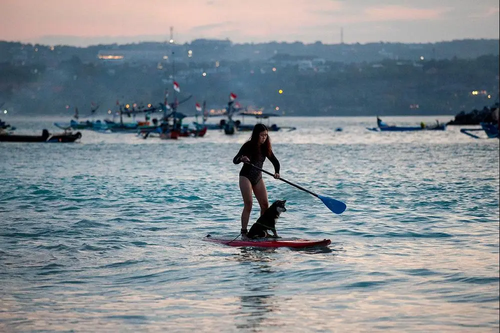 Sunset trip with Samaya 🐾 

Posted via @cloutfeed