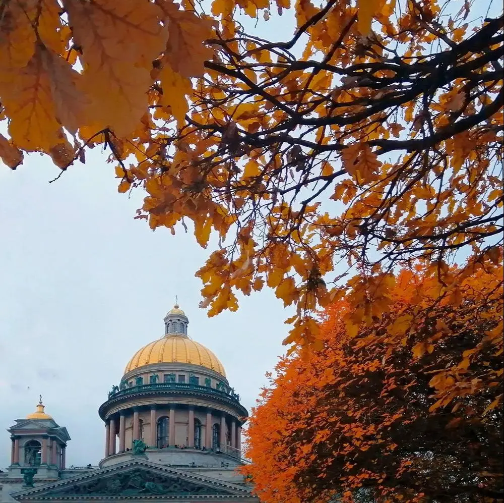 Чистый петербург телефон. Золотая осень в Санкт-Петербурге. Чистый Питер. Казанский федеральный собор Питер + Золотая осенью. Чистый Петербург.