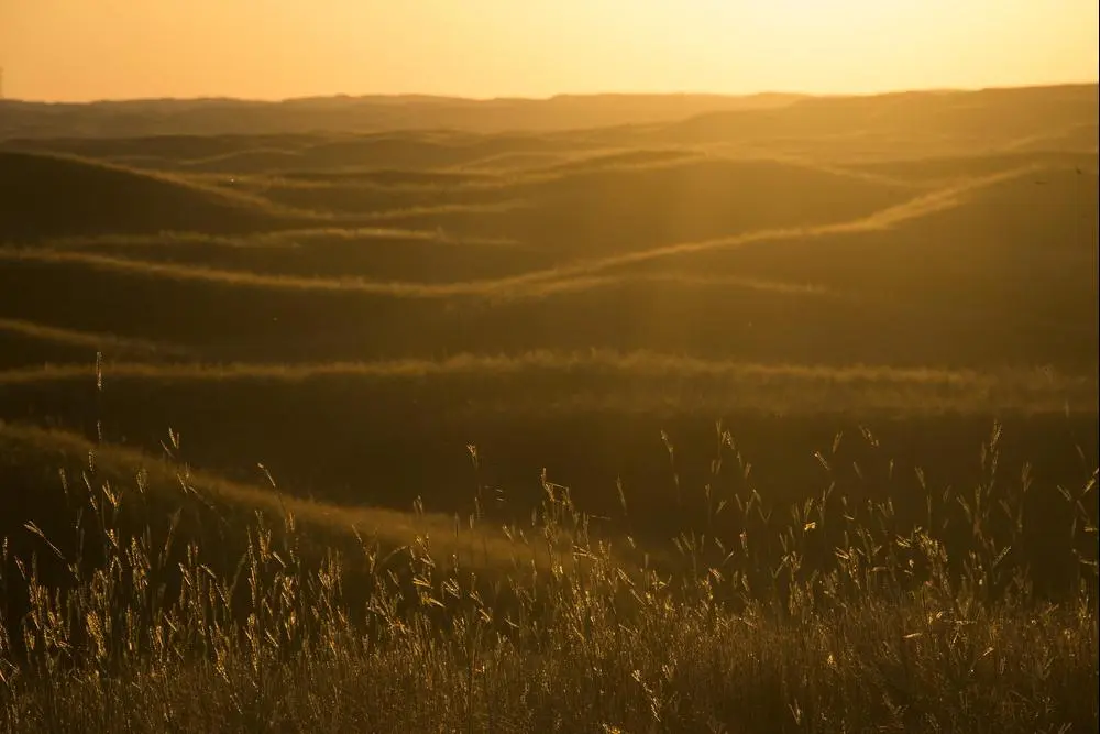 Even back in 2011, the US state department appeared confused about the issue. After first saying XL would not have significant adverse effects on the environment, it advised TransCanada to explore alternative routes in Nebraska because the Sandhills region was a fragile ecosystem