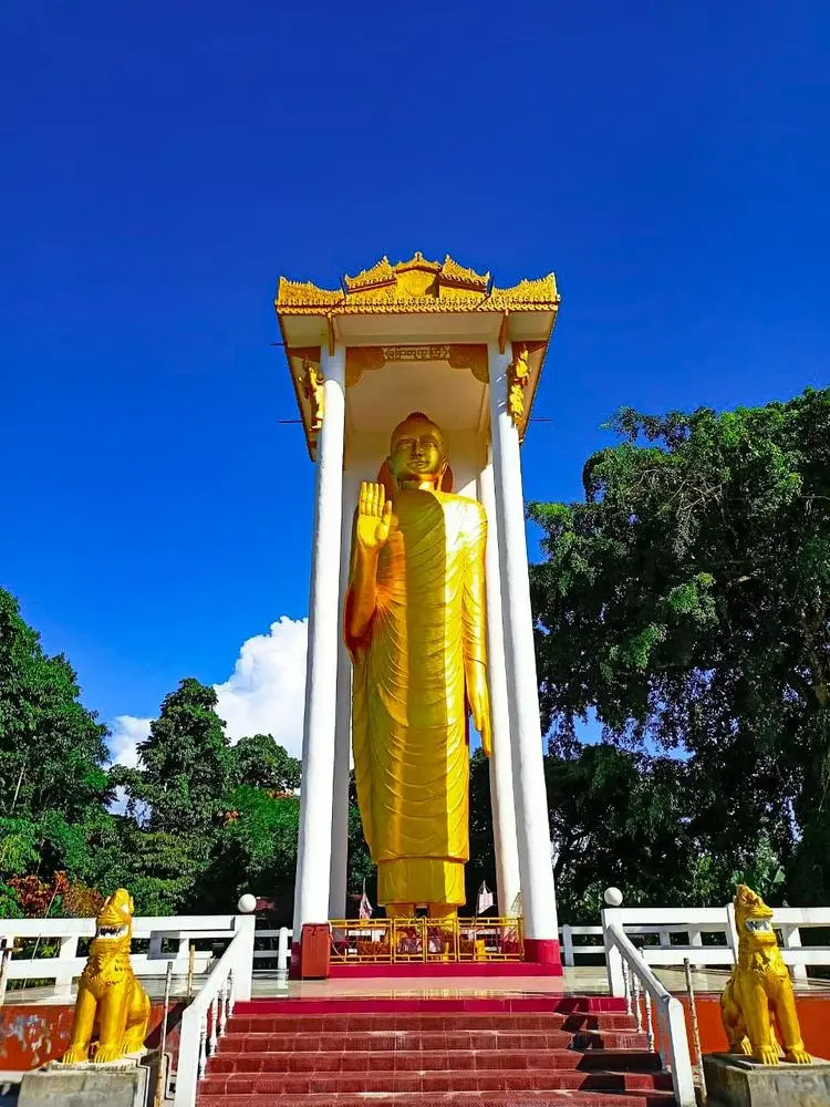 "No matter how hard the past,
you can always begin again."

-Buddha

Posted via @cloutfeed