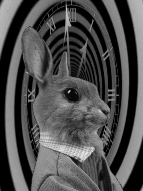 Time is running out - the memory remains.