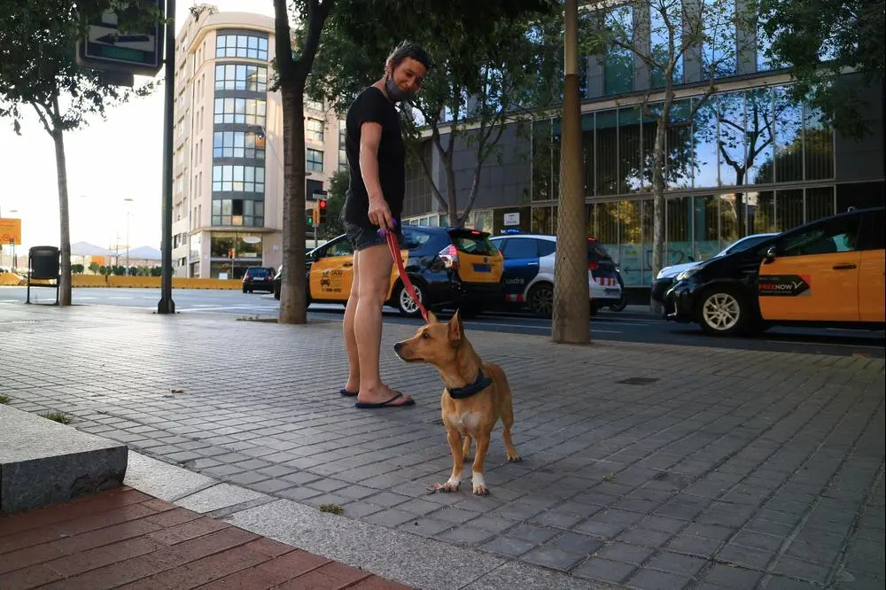 #barcelona #spain #street #dog #september #happy #trip #color #photo #nuakin @_travel @_photography