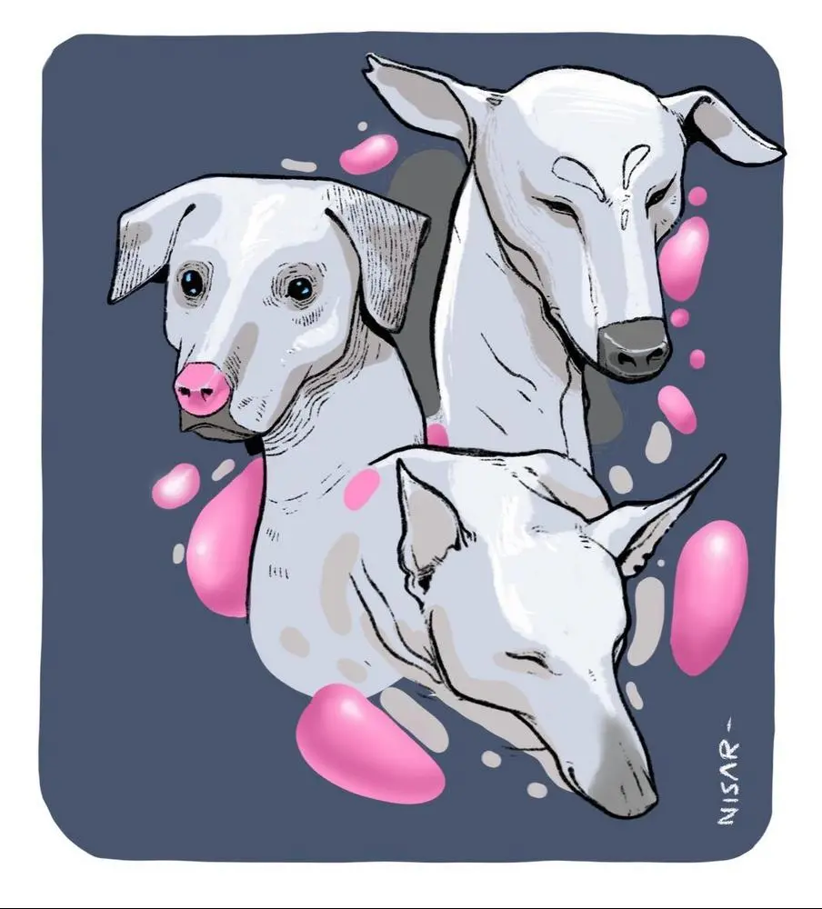 Who doesn't love dogs..  Cute and loyal amd man's best friend from the age of the monkeys.. Here is my  take on these cute creatures.. 