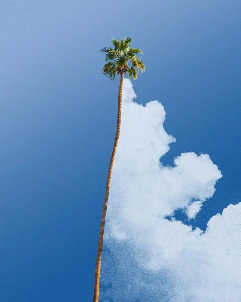 Good morning Bitclout! Have a nice day 🌈🌈