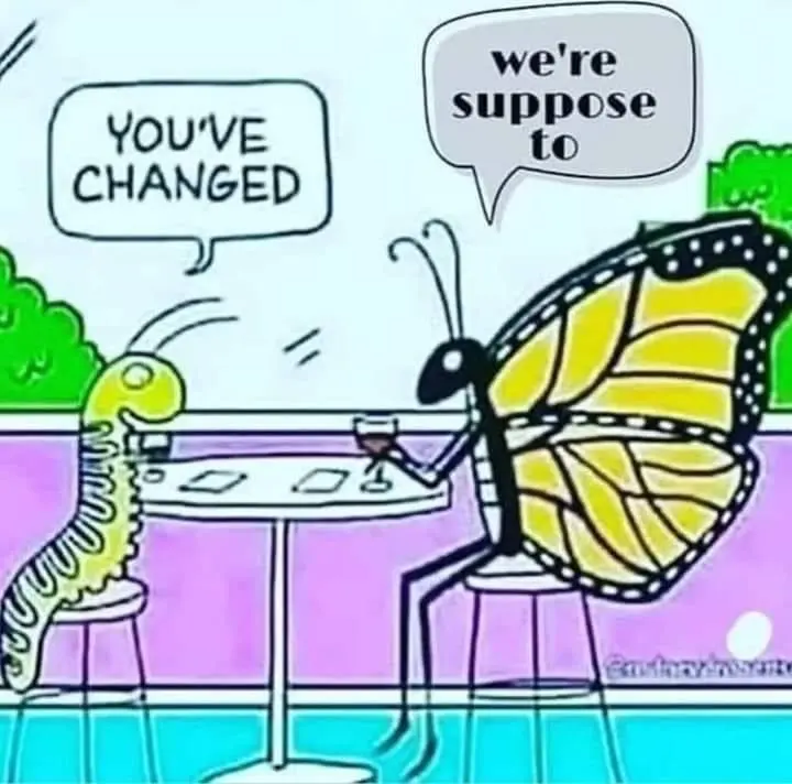 Everything you need is within you #transformation 