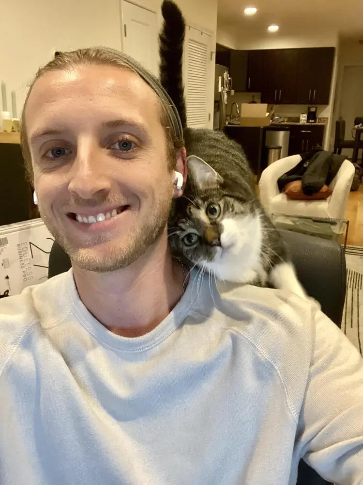 Hello friends. How r u 😽