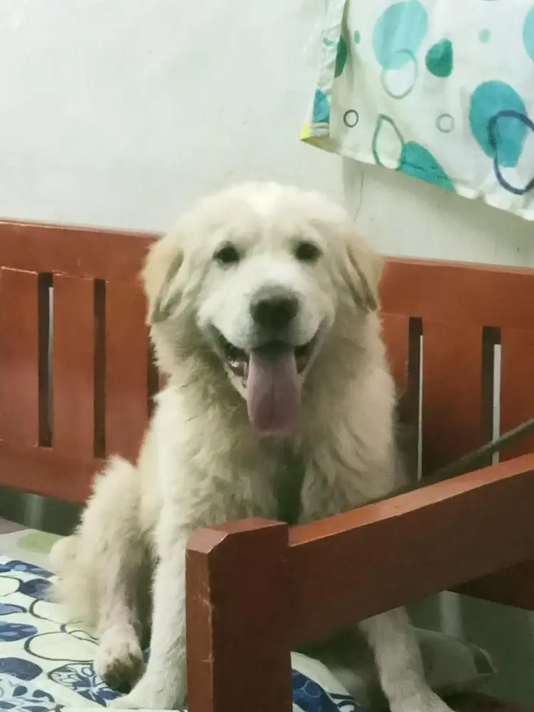 My Maggy is growing fast 💜