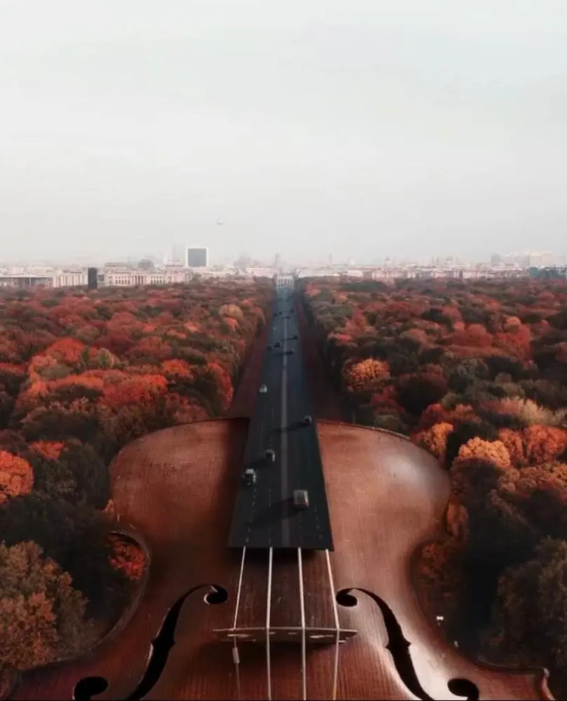 This is my first #NFT