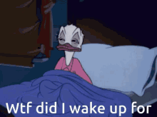 all 300 DAU on $deso every morning we aren’t on the moon yet 