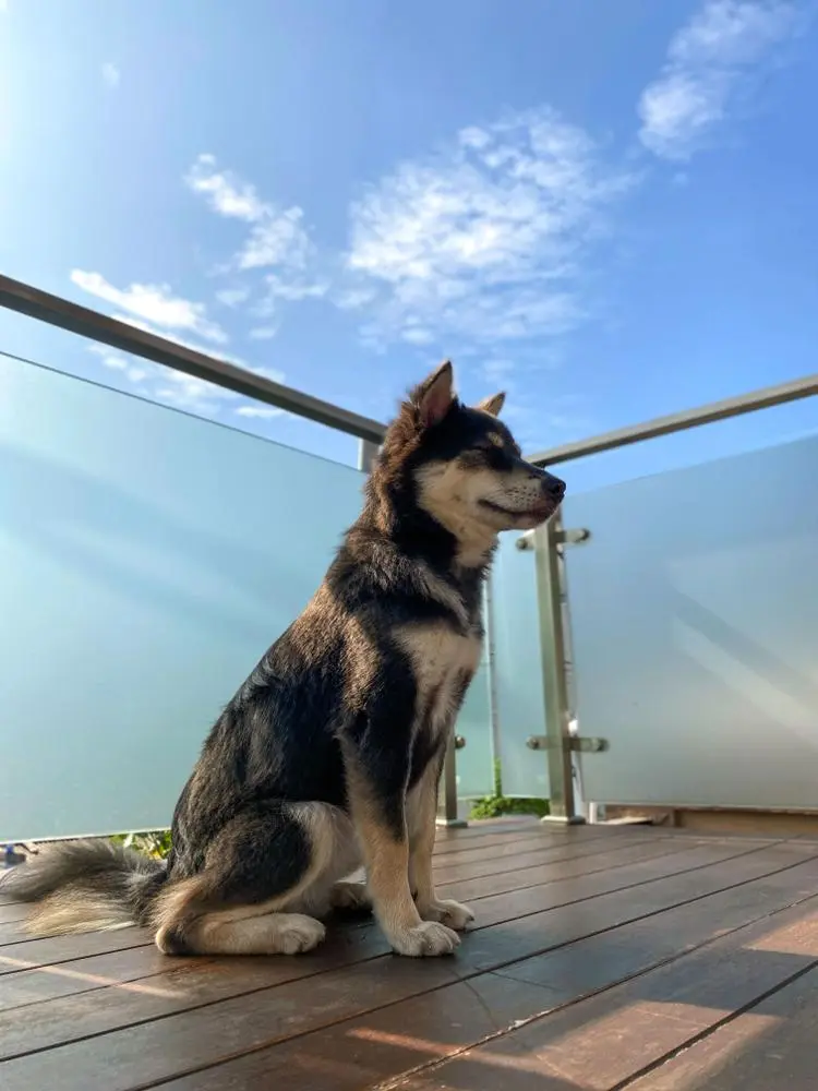 
Morning meditation with Samaya 😅🥰
Posted via @cloutfeed