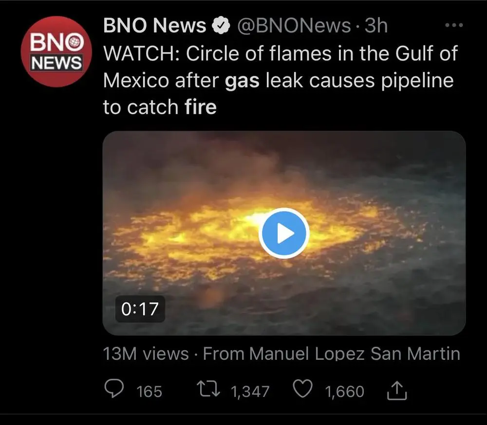 Noooo diamondhands, wrong fire!