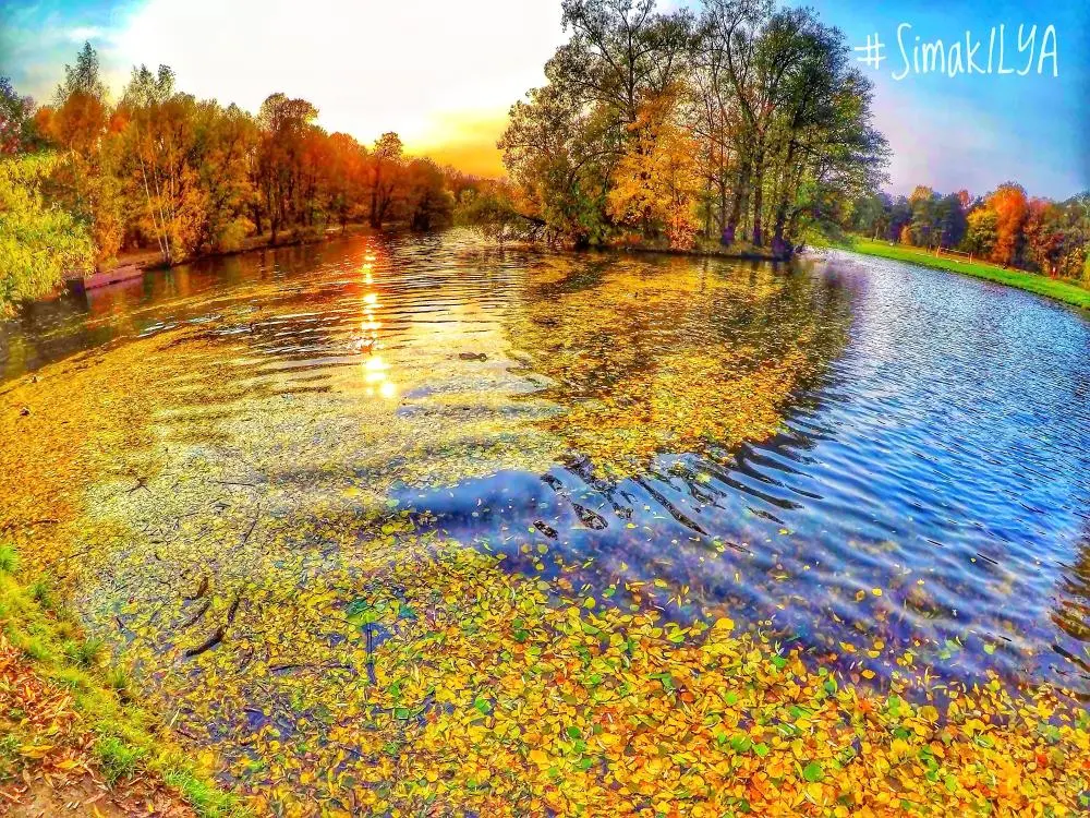 🍂And this is my autumn photo taken exactly 4 years ago)
Have a bright and eventful week, everyone!😊

@_photography #nature #colors #russia #simakilya