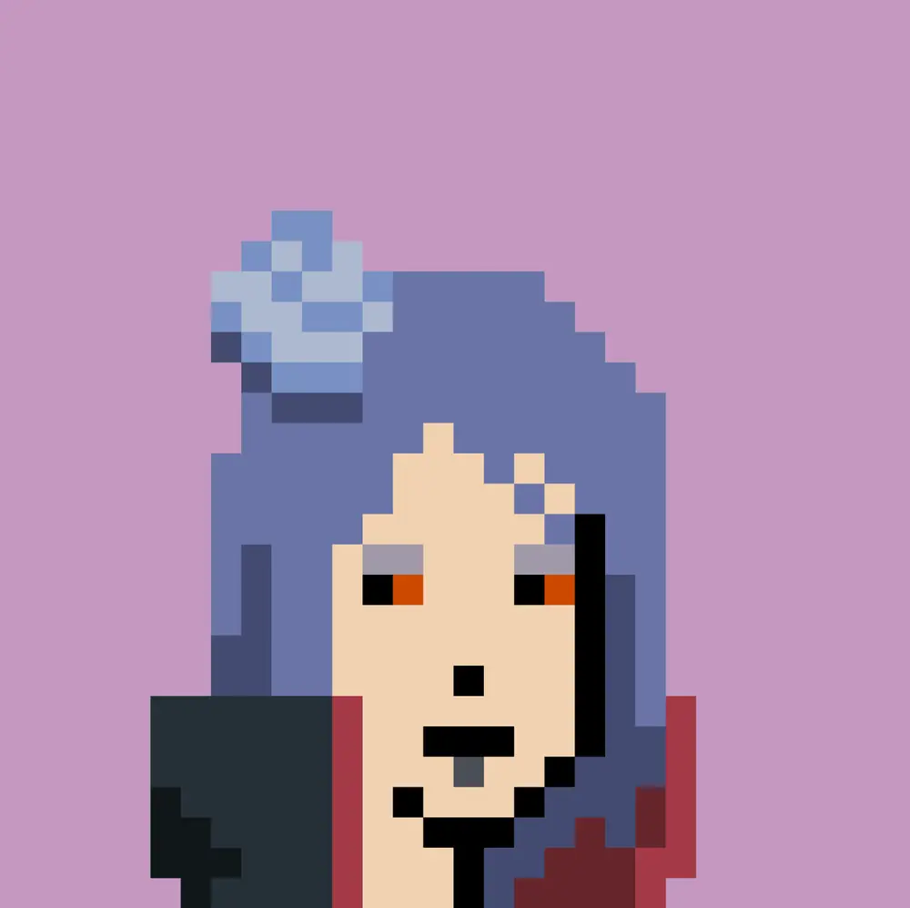 NarutoPunk NFT #33 - Konan