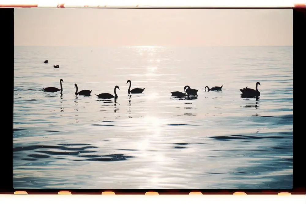 #bolderaja #riga #latvia #sun #baltic #sea #may #spring #color #birds #photo #nuakin @_travel @_photography