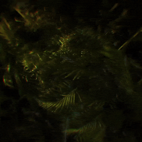 FERNHILL - Inspired by yesterday's walk through Fern Hill House in Dublin.