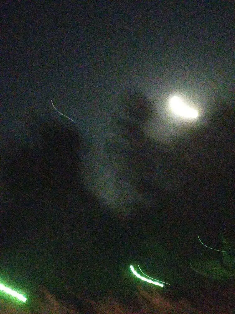 Late-night wandering.