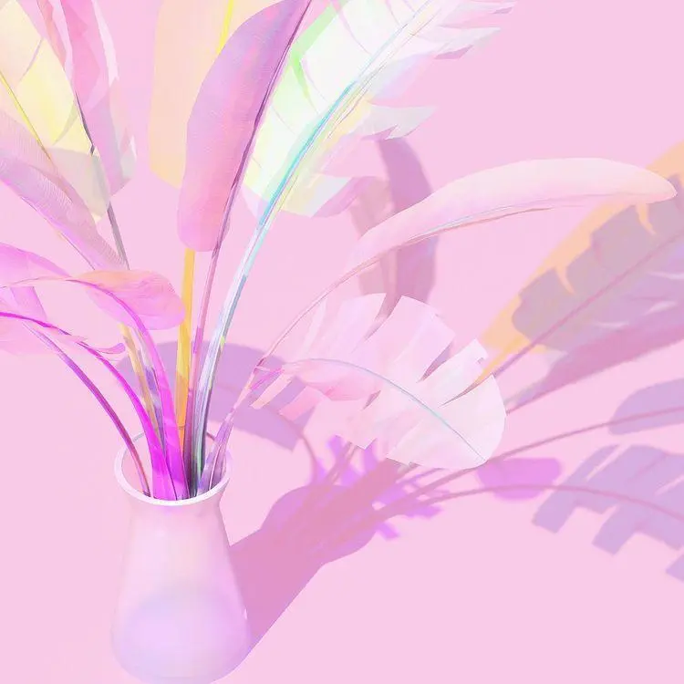 Our future is still bright 🌺