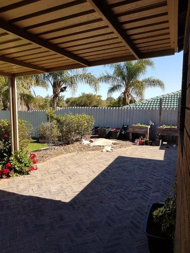 It's been another beautiful day here in West Australia, summer is back. Lucy and White are loving the sun!