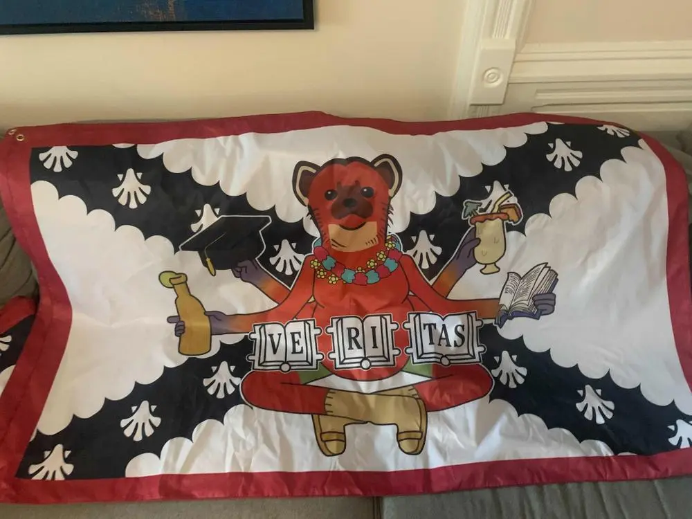 The flag I designed has arrived! Now all I have to do is make it into an NFT...