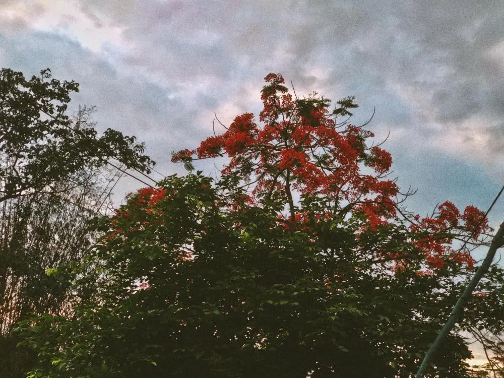 Nature is the purest portal
to inner-peace.

Posted via @cloutfeed