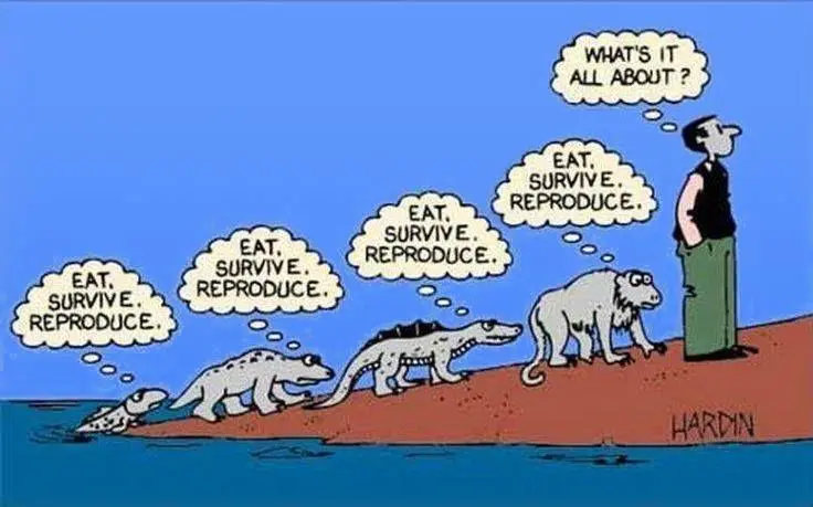 Humans around the world has the same question ?? 

What's it all about?