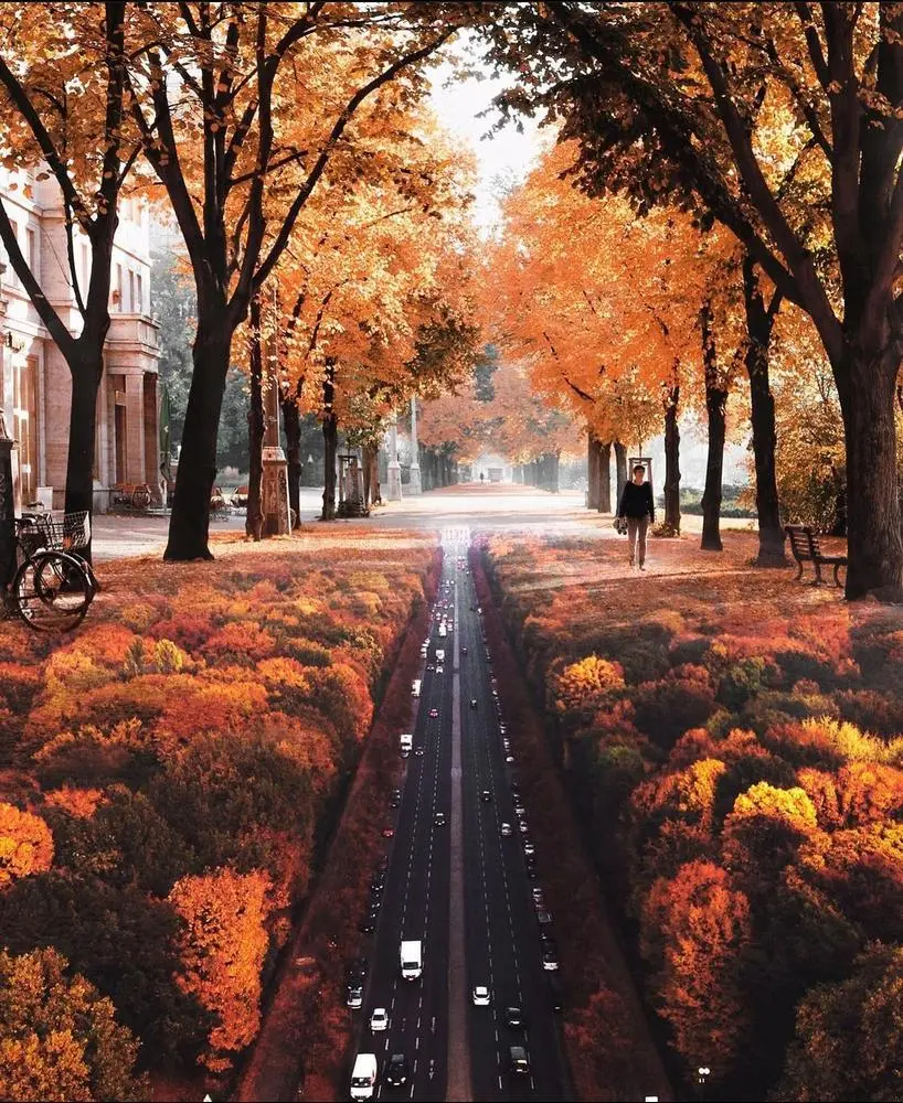 Trees with fallen leaves
To new beginnings that seem like the end...